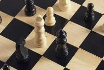 Toy