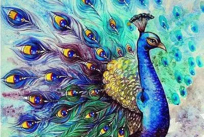 Beautyful Peacock