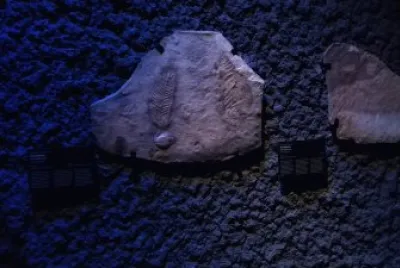 De pedra