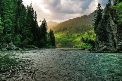 Nature
