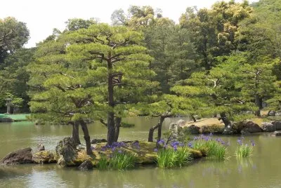 Japon6