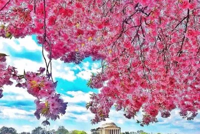 imagem jigsaw puzzle