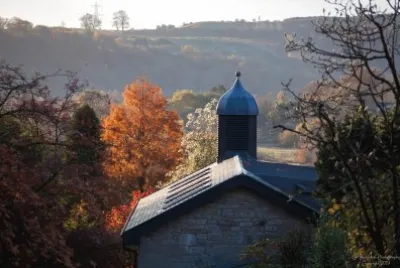 Autumn trees and rooftop