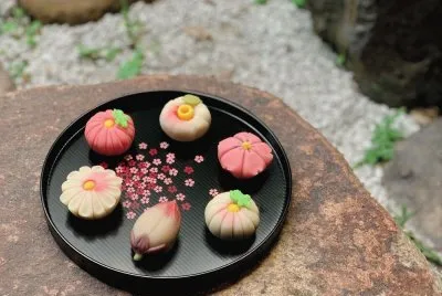 פאזל של Wagashi