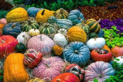 Calabazas