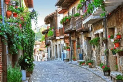 Street - Houses