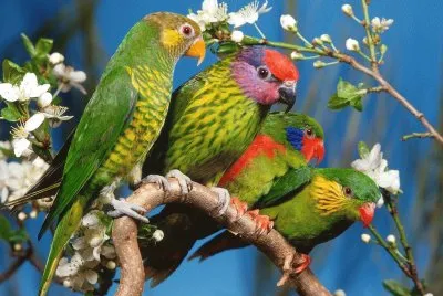 .nicolen45 jigsaw puzzle