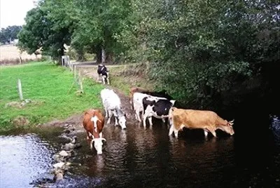 JR 298 jigsaw puzzle