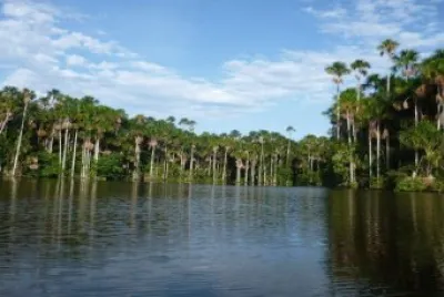 LAGO SANDOVAL/TAMBOPATA PERU jigsaw puzzle