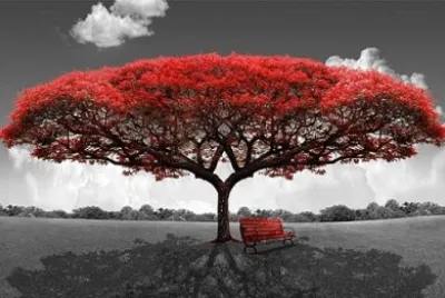 red tree