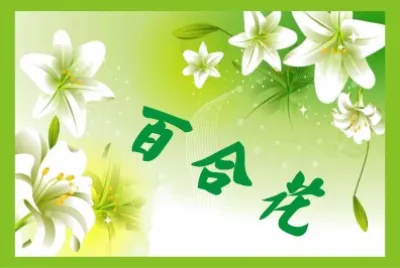 ç™¾åˆèŠ±