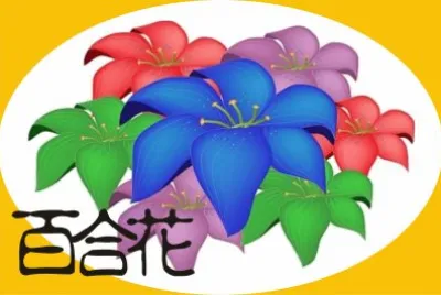 ç™¾åˆèŠ±