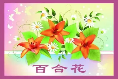 ç™¾åˆèŠ±