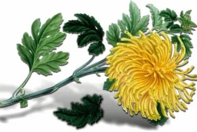imagem jigsaw puzzle