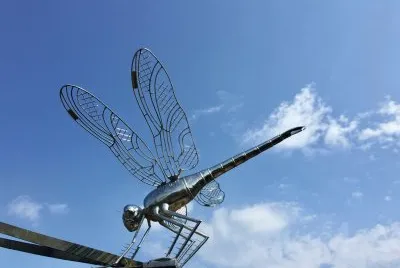 Dragonfly Sculpture, Elstead