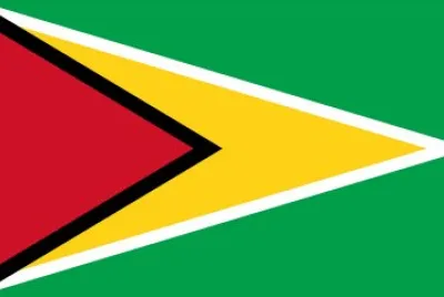 Guyana Flag