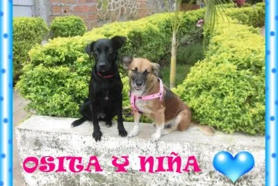 MIS CHICAS jigsaw puzzle