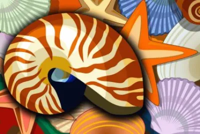 Coquillages jigsaw puzzle