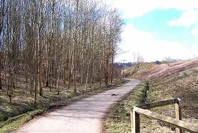 The Nutbrook Trail