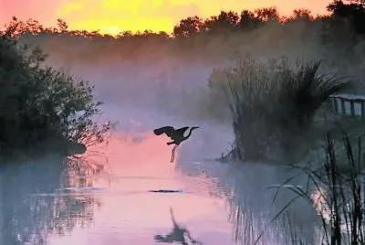 summer#220 jigsaw puzzle