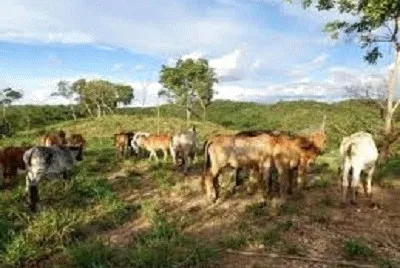 JR 339 jigsaw puzzle