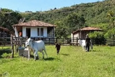 JR 341 jigsaw puzzle