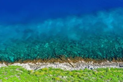 sea