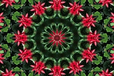 2095