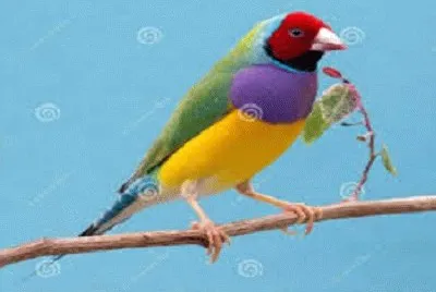 JR 349 jigsaw puzzle