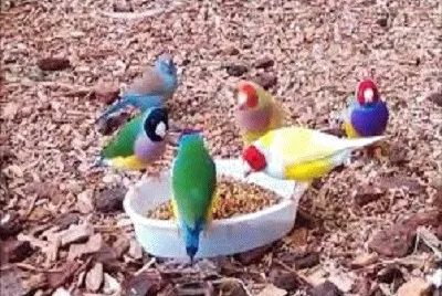 JR 351 jigsaw puzzle