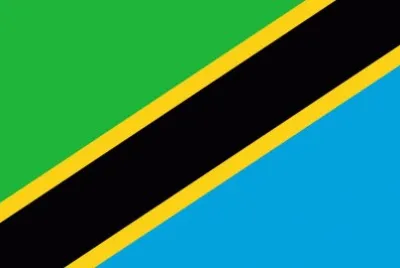 Tanzania Flag
