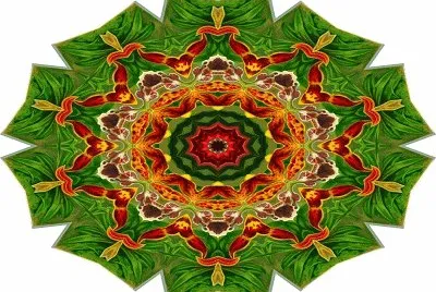 2169