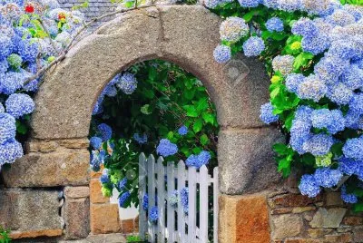 Fachada con hortensias
