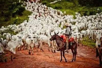 JR 360 jigsaw puzzle