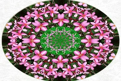 2187