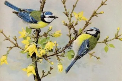 imagem jigsaw puzzle