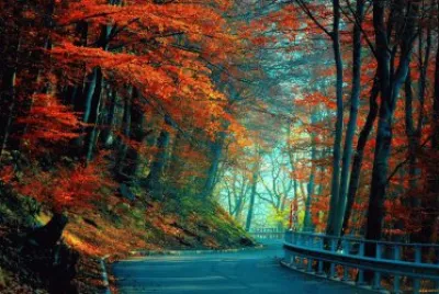 Estrada no Outono jigsaw puzzle