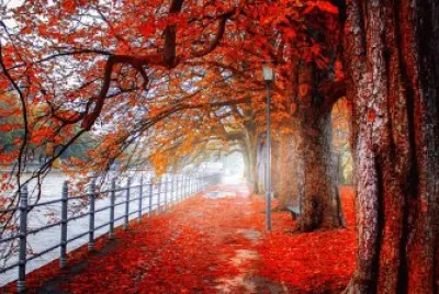 Outono Vermelho jigsaw puzzle