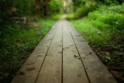 Caminho jigsaw puzzle