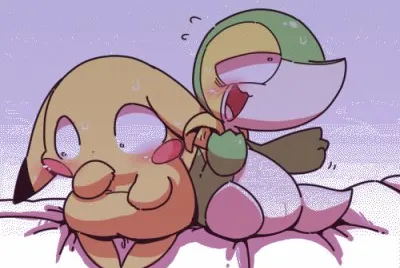 פאזל של Poke