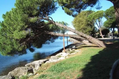 L.di BOLSENA
