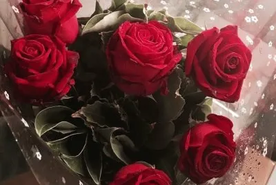Rosas