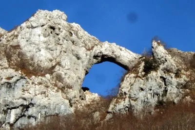M.FORATO (APUANE)