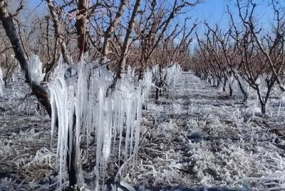 imagem jigsaw puzzle