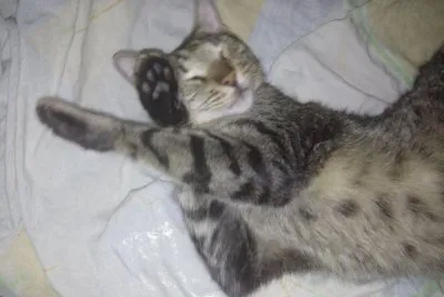 The happy mummy nice rest