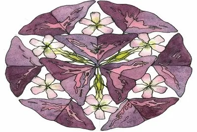 2285 jigsaw puzzle