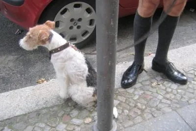 פאזל של Black socks