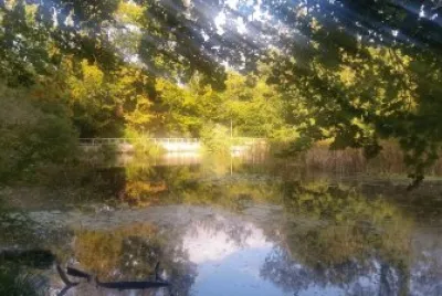 Keston Ponds, England