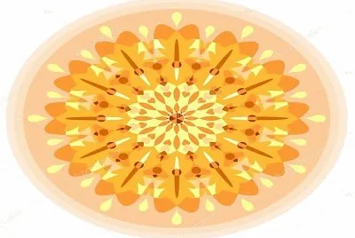 2336