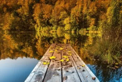 Outono no lago jigsaw puzzle